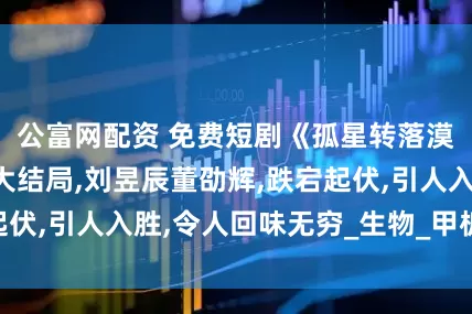 公富网配资 免费短剧《孤星转落漠北月》免费版大结局,刘昱辰董劭辉,跌宕起伏,引人入胜,令人回味无穷_生物_甲板_海域