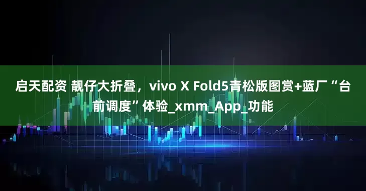 启天配资 靓仔大折叠，vivo X Fold5青松版图赏+蓝厂“台前调度”体验_xmm_App_功能