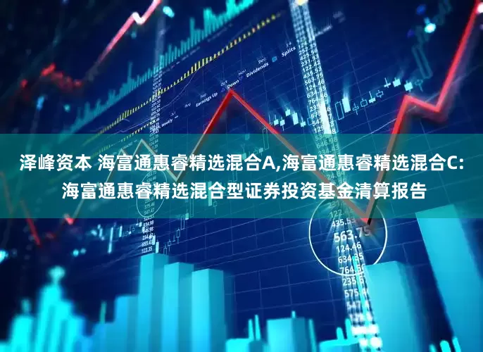泽峰资本 海富通惠睿精选混合A,海富通惠睿精选混合C: 海富通惠睿精选混合型证券投资基金清算报告