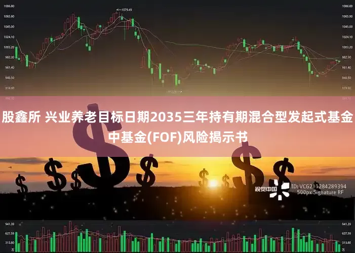股鑫所 兴业养老目标日期2035三年持有期混合型发起式基金中基金(FOF)风险揭示书