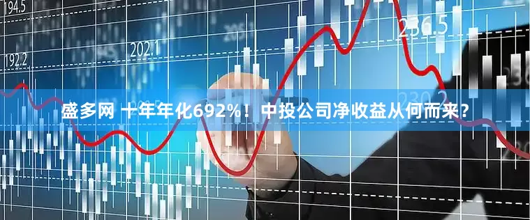 盛多网 十年年化692%！中投公司净收益从何而来？